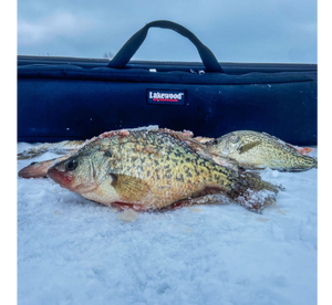 Lakewood Ice Rod and Reel Case for Ice Fishing Accommodate those longer rods up to 41! Internal has foam bottom and sides as well as additional foam added to lid to help hold rods in place. Heavy-duty construction allows you to carry this pack or strap it on to an ATV/UTV/Snowmobile Made in the USA Lifetime Warranty.